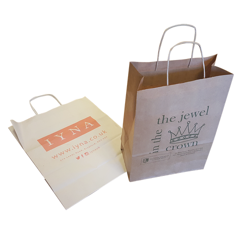  - 10" x 12" Twist Paper Bags - Unprinted sample  - PG Promotional Items