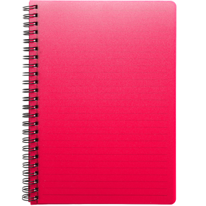 A5 Reynolds Notebook