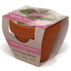 Growing Gift with Mini Terracotta Pot