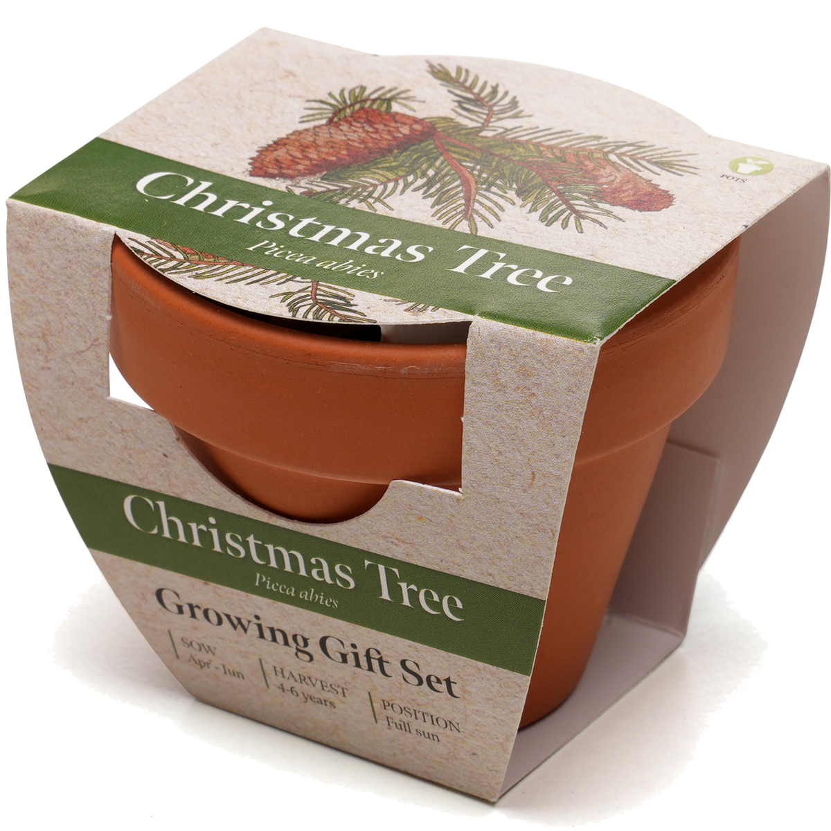 Growing Gift with Mini Terracotta Pot