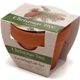 Growing Gift with Mini Terracotta Pot