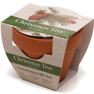 Growing Gift with Mini Terracotta Pot