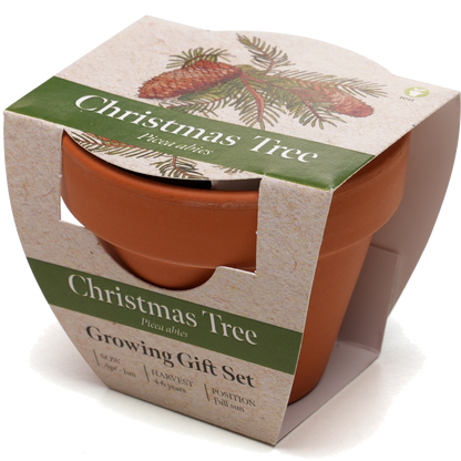 Growing Gift with Mini Terracotta Pot