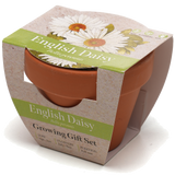 Growing Gift with Mini Terracotta Pot