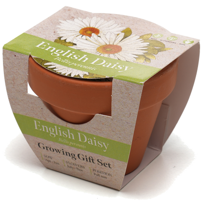 Growing Gift with Mini Terracotta Pot