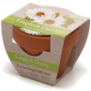 Growing Gift with Mini Terracotta Pot