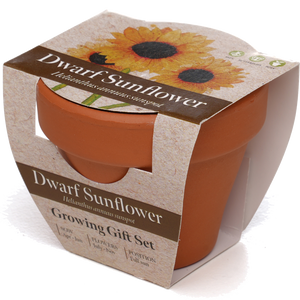 Growing Gift with Mini Terracotta Pot