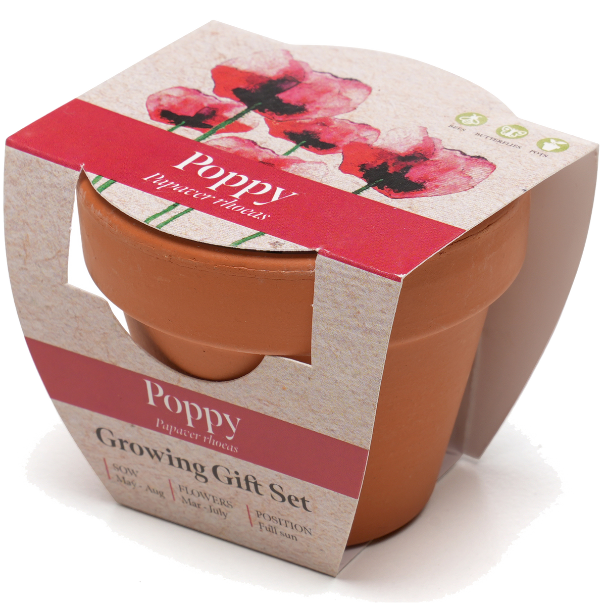 Growing Gift with Mini Terracotta Pot