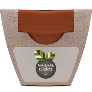Growing Gift with Mini Terracotta Pot