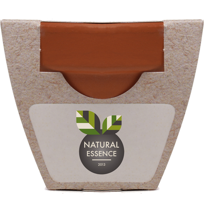 Growing Gift with Mini Terracotta Pot