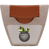 Growing Gift with Mini Terracotta Pot