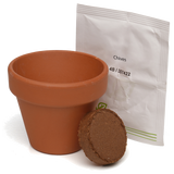 Growing Gift with Mini Terracotta Pot