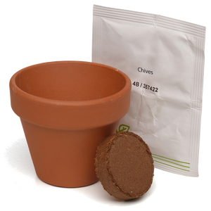 Growing Gift with Mini Terracotta Pot