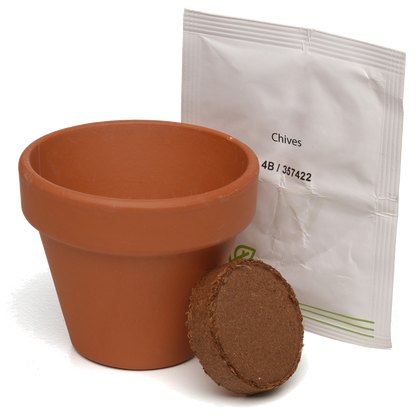 Growing Gift with Mini Terracotta Pot