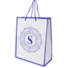 Newquay Medium Glossy Paper Bag