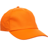 Premium 5 Panel Cap