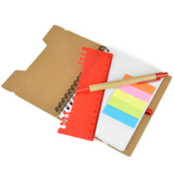 Companion Notebooks