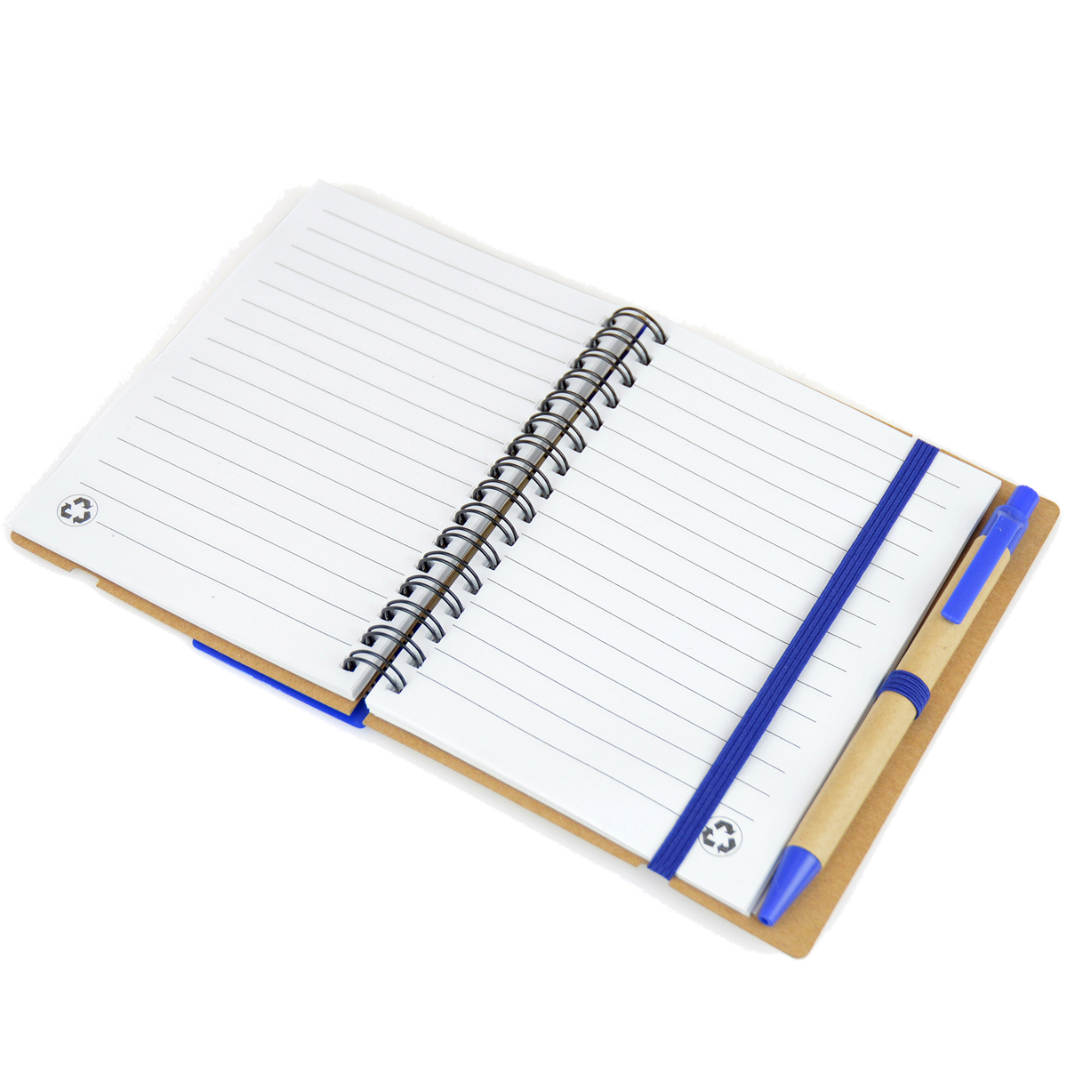 Companion Notebooks