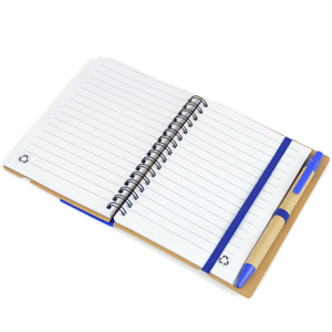 Companion Notebooks