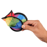 branded pride items outdoor, frisbee with pride flag

