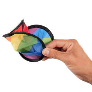 branded pride items outdoor, frisbee with pride flag
