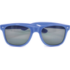 Sunny Recycled Sunglasses