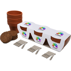 Branded Trio Seed Pot Gardens, PG Promotional Items UK