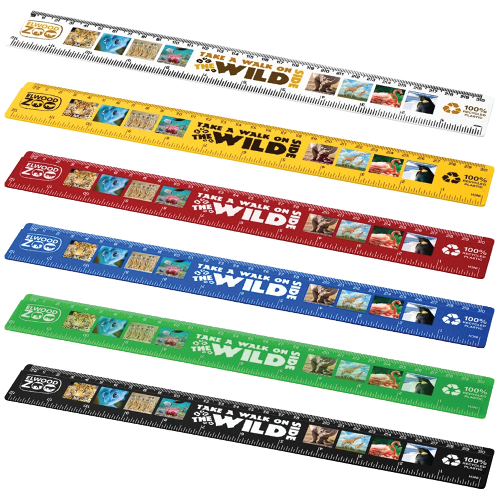 branded 30cm rulers, printed full colour 12 inch rulers