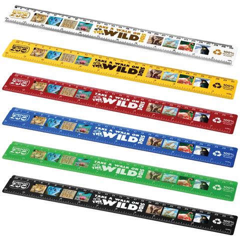 branded 30cm rulers, printed full colour 12 inch rulers