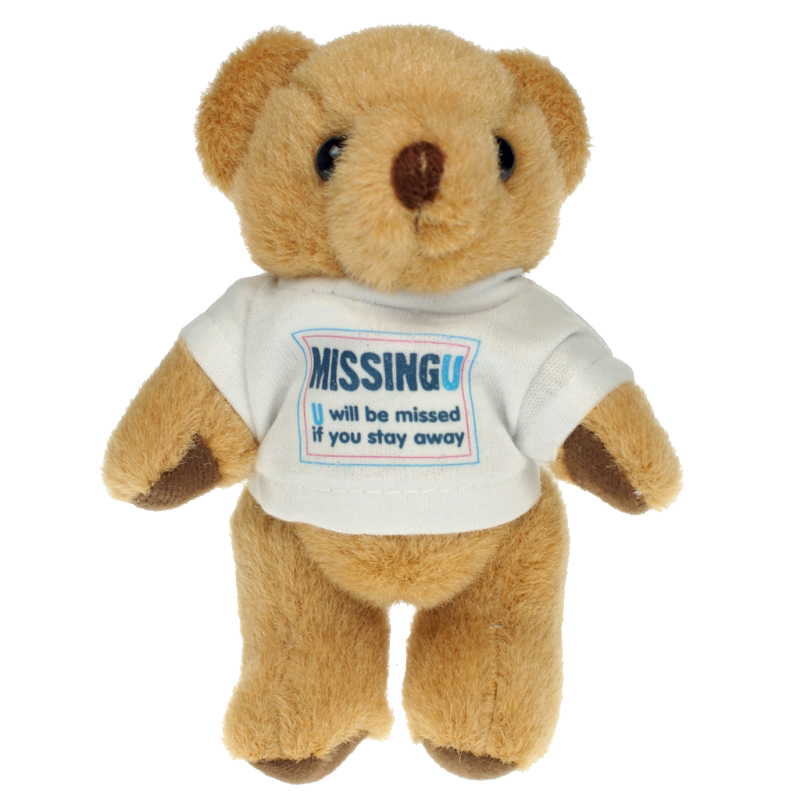 Branded Teddy Bears with T Shirts, Printed Teddy Bears UK