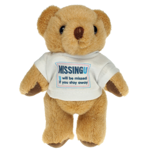 Branded Teddy Bears with T Shirts, Printed Teddy Bears UK