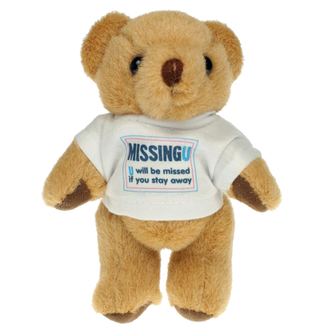 Branded Teddy Bears with T Shirts, Printed Teddy Bears UK