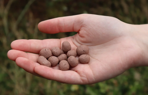 Seed Bomb Boxes