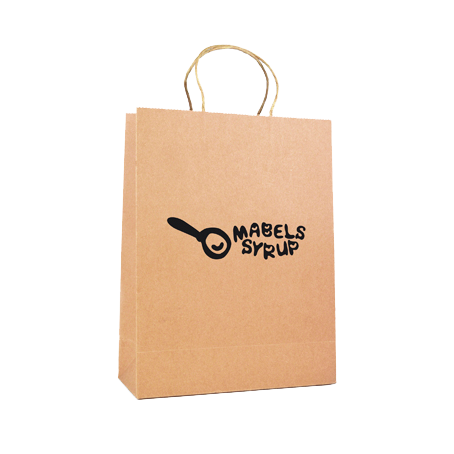 Large Paper Bags - Unprinted sample