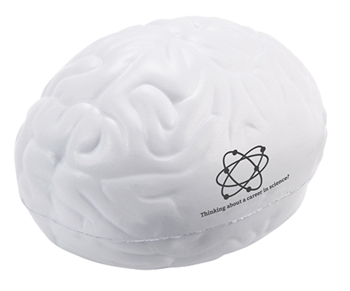 Stress Items - Stress Brains  - PG Promotional Items