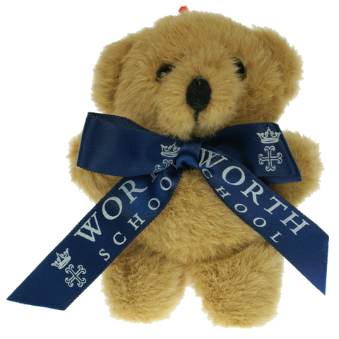  - Tiny Ted With Bow - Unprinted sample  - PG Promotional Items