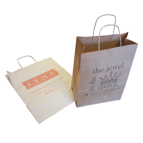 Large 16" x 12" Twist Paper Bags - Unprinted sample